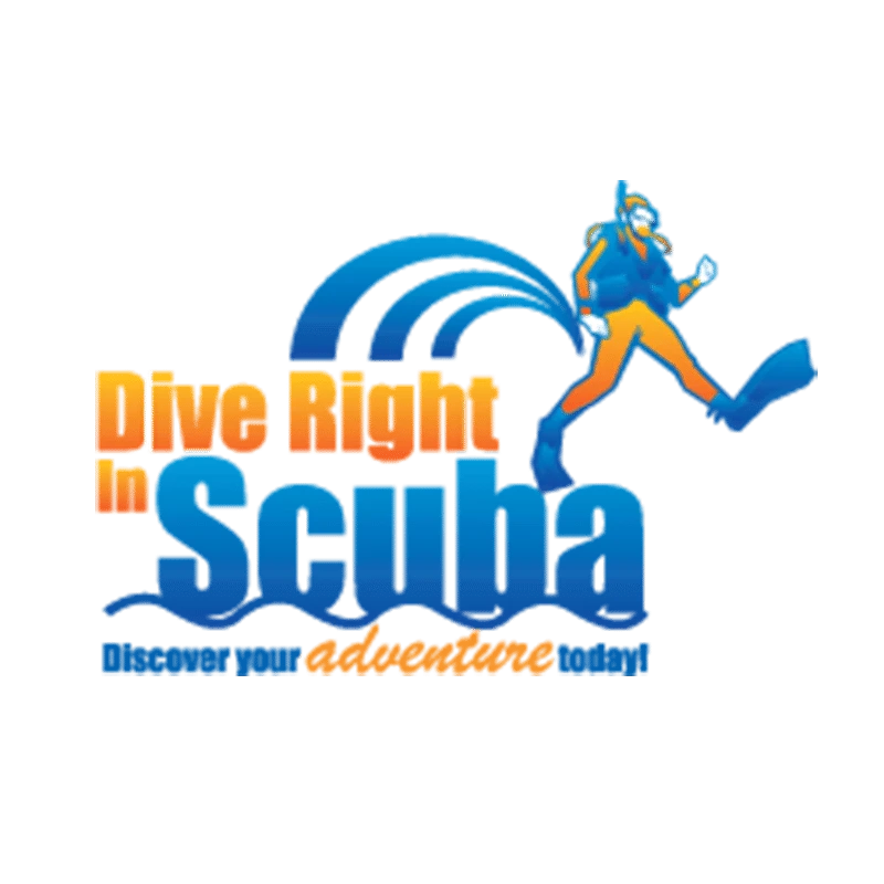 Versa BCD Combo System 3 5 Versa BCD Combo System 3 - Image 5