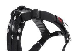 Transpac XT -Dive Gear Shop new transpac 2