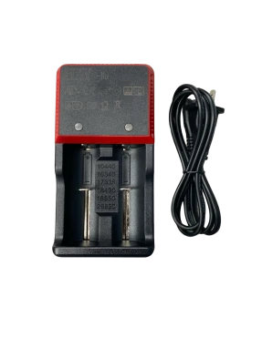 DRIS Battery Charger 1 DRIS Battery Charger
